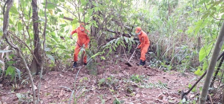 Corpo sem cabeça é encontrado em área rural e brutalidade choca Rondonópolis