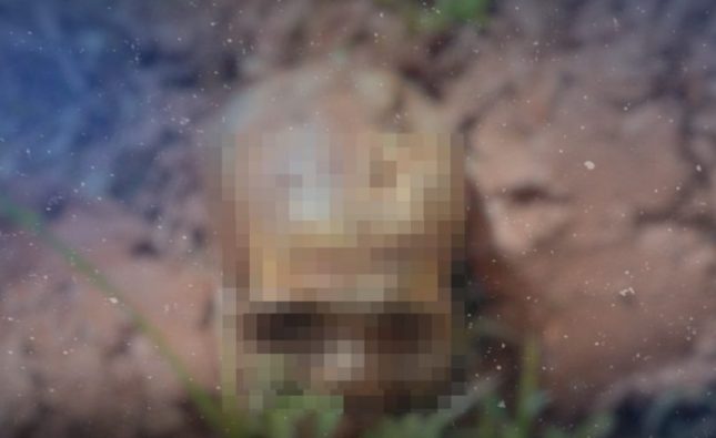 Durante manutenção, funcionário encontra ossada humana em creche municipal