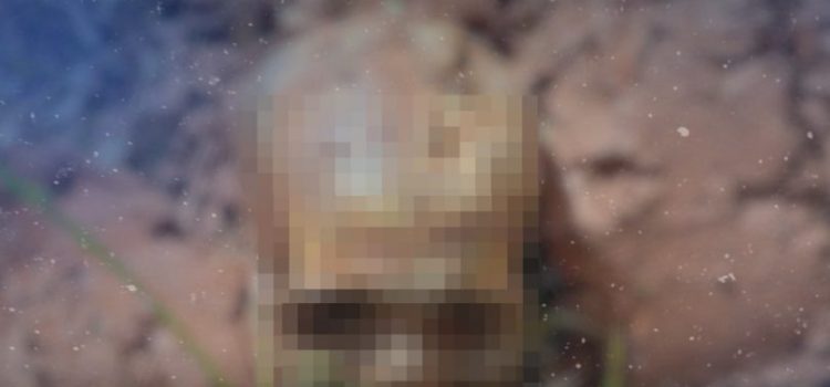 Durante manutenção, funcionário encontra ossada humana em creche municipal