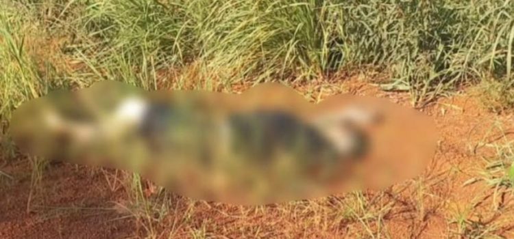 Faccionado envolvido em sequestro, tortura e execução cruel é preso em Rondonópolis