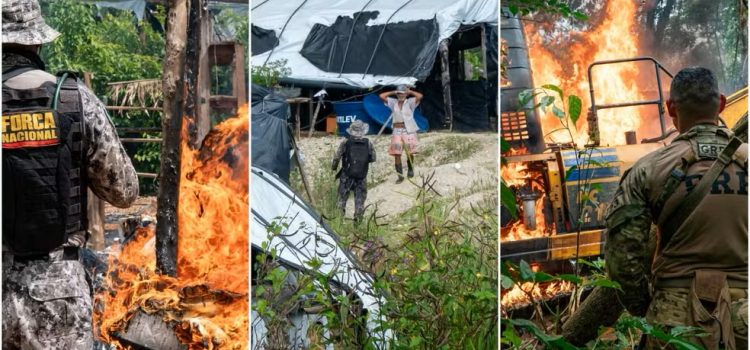 Megaoperação causa prejuízo de R$ 42 milhões ao garimpo ilegal na Terra Indígena Sararé em MT; vídeo