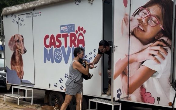 Programa de castração avança e atende 735 animais na Vila Operária