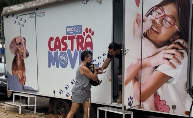 Programa de castração avança e atende 735 animais na Vila Operária