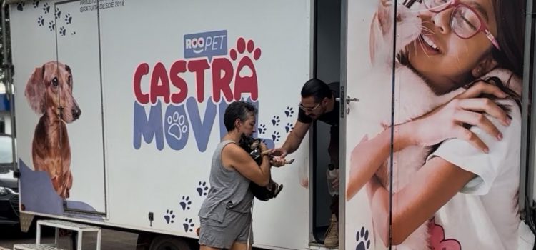 Programa de castração avança e atende 735 animais na Vila Operária