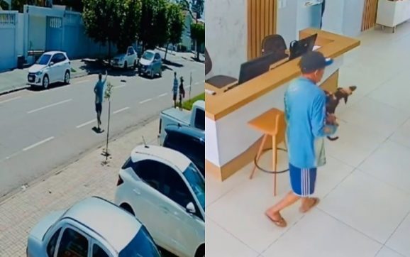 Rondonópolis: vídeo mostra morador de rua resgatando cão atropelado e tentando salvar vida do animal