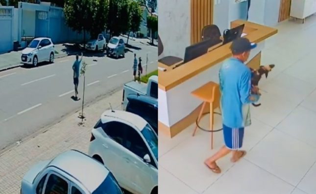 Rondonópolis: vídeo mostra morador de rua resgatando cão atropelado e tentando salvar vida do animal