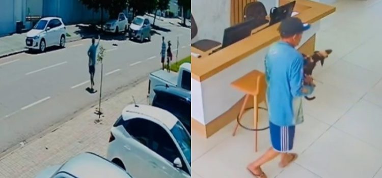 Rondonópolis: vídeo mostra morador de rua resgatando cão atropelado e tentando salvar vida do animal