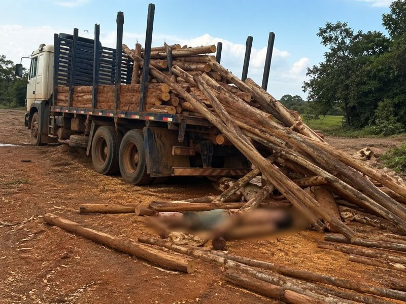 Trabalhador morre no hospital após ser esmagado por carga de madeira em MT
