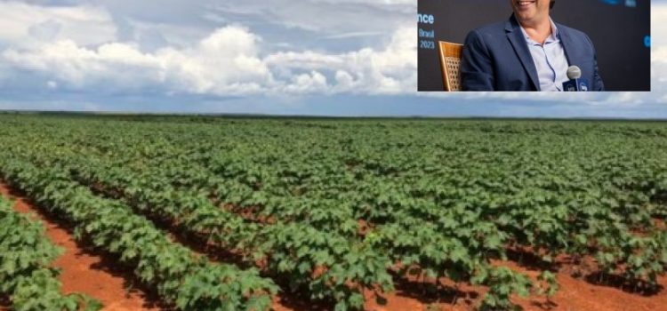 Caso milionário vira escândalo: TJ analisa leilão de fazenda de R$ 2 bilhões vendido por R$ 130 milhões