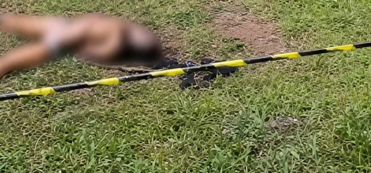 Jovem é sequestrada e assassinada pelo CV; vídeo mostra corpo encontrado às margens da BR-364