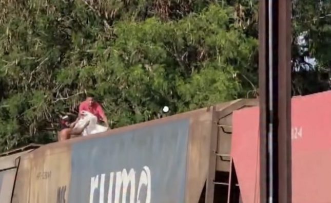 Piratas dos trilhos: vídeo mostra bandidos furtando soja de trem da Rumo em movimento