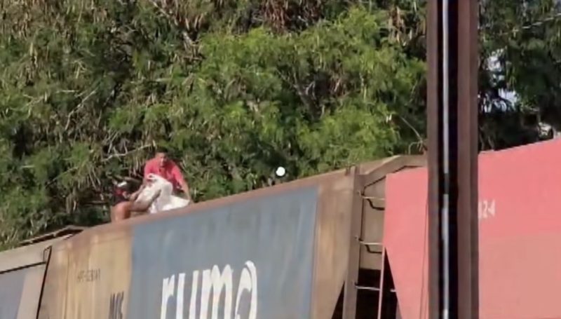 Piratas dos trilhos: vídeo mostra bandidos furtando soja de trem da Rumo em movimento