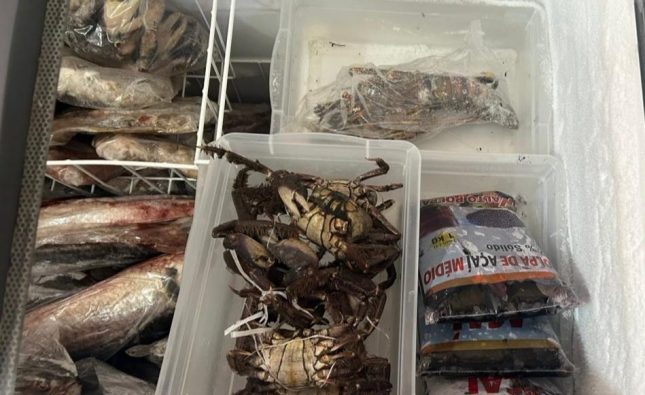 Procon flagra frutos do mar sem validade e produtos “misteriosos” em comércio no Centro de Rondonópolis