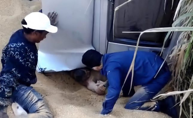 Vídeo mostra caminhoneiro embaixo de carreta após acidente que desencadeou incêndio na BR-163 em Rondonópolis