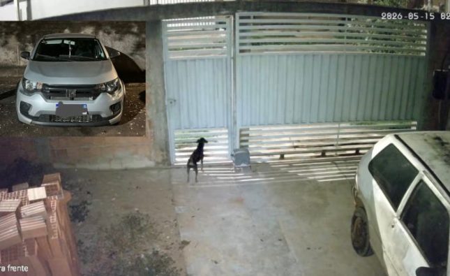 Vídeo mostra motorista gritando durante roubo em que acabou enforcada com cinto em Rondonópolis