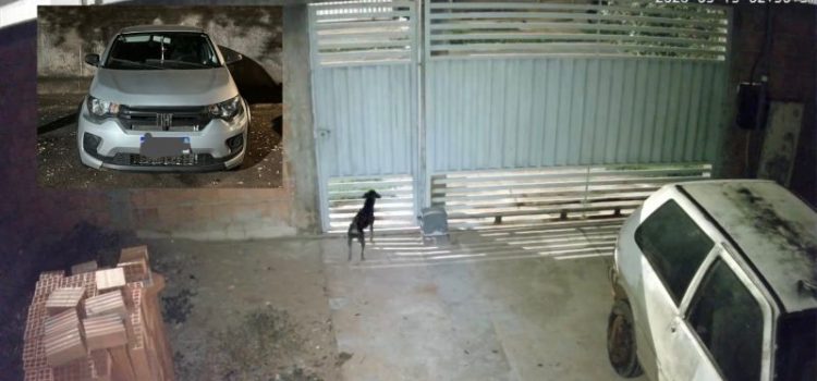 Vídeo mostra motorista gritando durante roubo em que acabou enforcada com cinto em Rondonópolis
