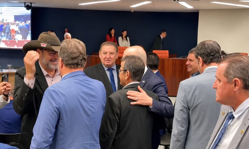 Nininho defende em audiência no STFpacto entre MT e Pará para garantir atendimento a famílias da faixa de divisa