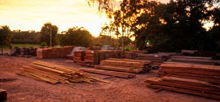 Secretaria de Meio Ambiente fará leilão de madeiras apreendidas no dia 30 de junho