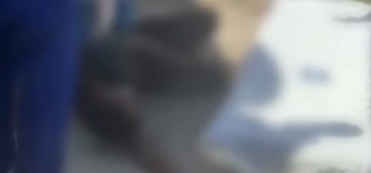 Vídeo mostra homem baleado após ataque a tiros em frente a estabelecimento em MT