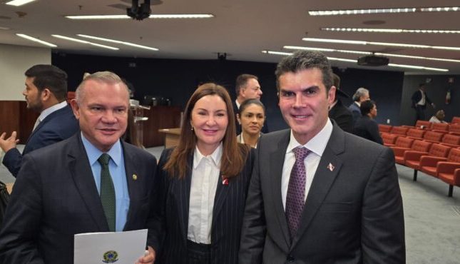 Wellington apresenta proposta de RIDE para solucionar impasse territorial entre Mato Grosso e Pará e recebe apoio durante audiência no STF