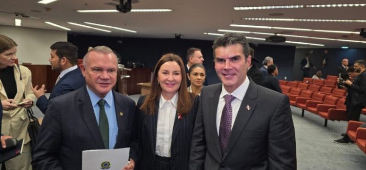Wellington apresenta proposta de RIDE para solucionar impasse territorial entre Mato Grosso e Pará e recebe apoio durante audiência no STF