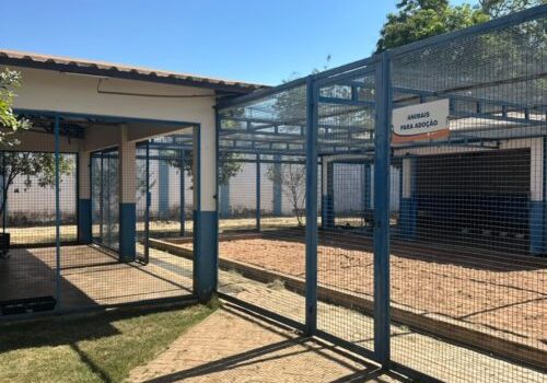 CIBEAR intensifica ações de bem-estar animal e realiza 3.455 castrações no primeiro semestre de 2026