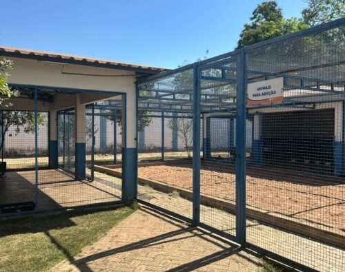 CIBEAR intensifica ações de bem-estar animal e realiza 3.455 castrações no primeiro semestre de 2026