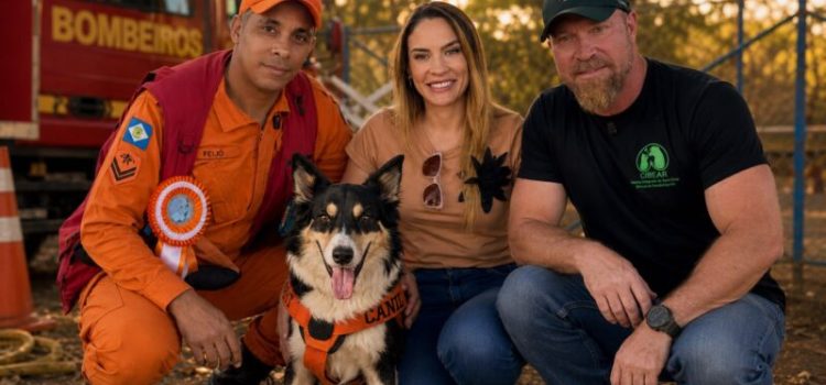 Cadela Stella é destaque nacional e recebe homenagem da vereadora Kalynka Meirelles