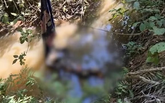 Dois corpos encontrados em menos de 24 horas deixam população em pânico em Rondonópolis; PC investiga