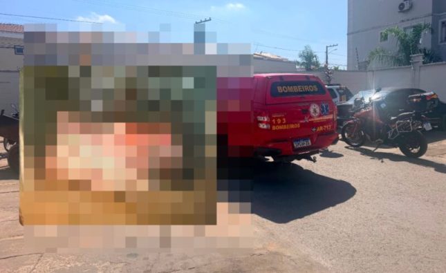 Feto é encontrado dentro de caixa de papelão em lixo de condomínio de MT; imagens fortes