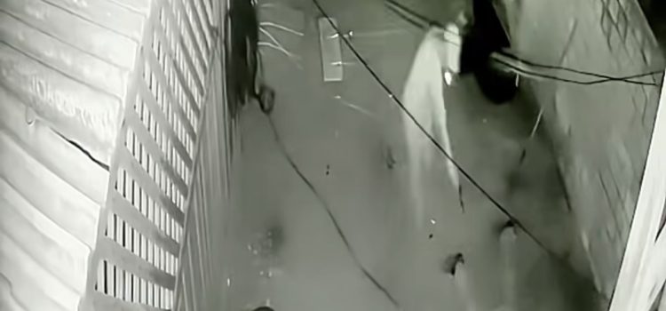 Homem é assassinado com diversos tiros ao ir urinar atrás de bar em MT; vídeo registrou o crime