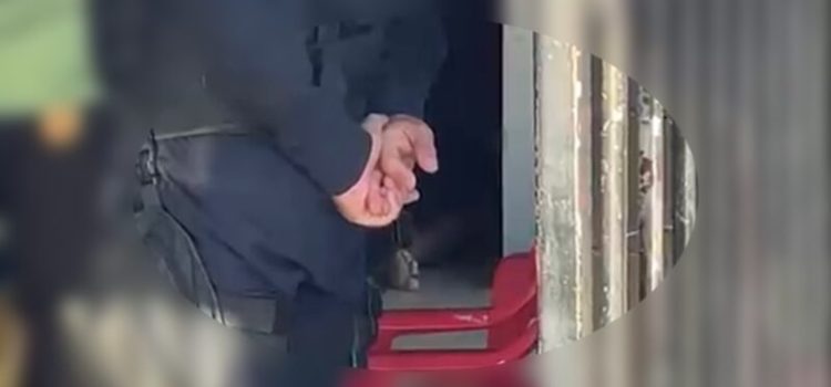 Homem é executado dentro de casa após criminosos fazerem chamada de vídeo em MT; vídeo
