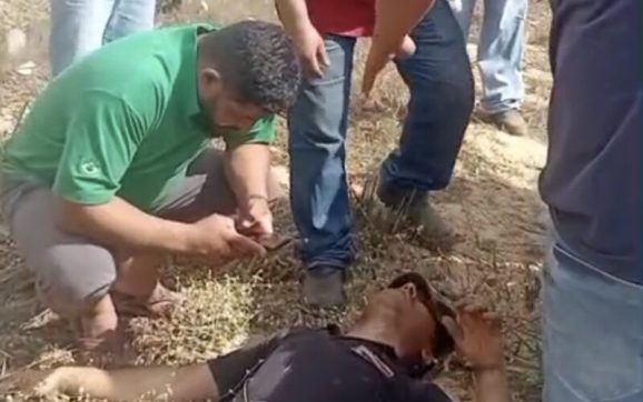 Motorista escapa da morte após tombar caminhão na MT-130 em Rondonópolis; vídeo