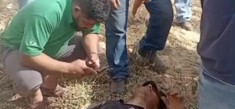 Motorista escapa da morte após tombar caminhão na MT-130 em Rondonópolis; vídeo