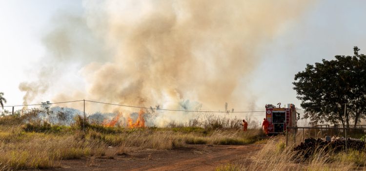 Prefeitura cria brigada mista com o Corpo de Bombeiros Militar para ampliar combate às queimadas