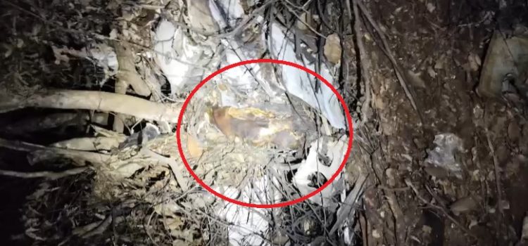 Vídeo mostra homem carbonizado após avião com carga de cocaína cair em MT; dois morreram