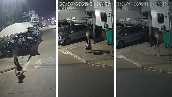 Câmera flagra mulher jogando bebê prematura em lixeira de condomínio em MT; mãe prestou depoimento