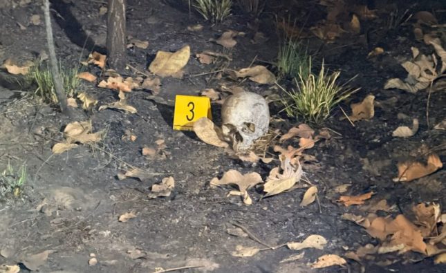 Cena macabra: crânio humano carbonizado é encontrado em área de mata em MT; vídeo