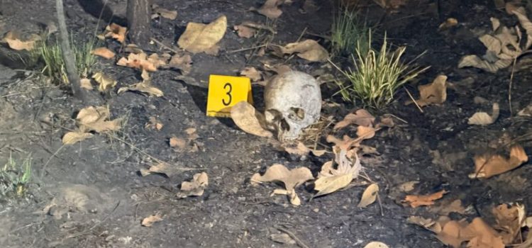Cena macabra: crânio humano carbonizado é encontrado em área de mata em MT; vídeo