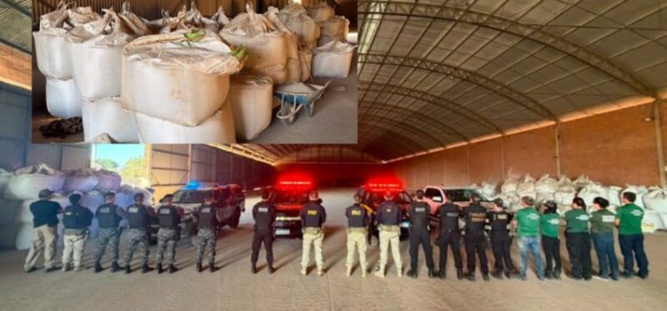 Grupo criminoso teria criado “safra paralela” com fertilizantes adulterados e grãos furtados em Rondonópolis