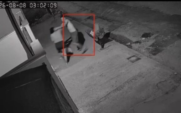 Homem espanca esposa com bebê no colo e se mata após ser flagrado em MT; assista
