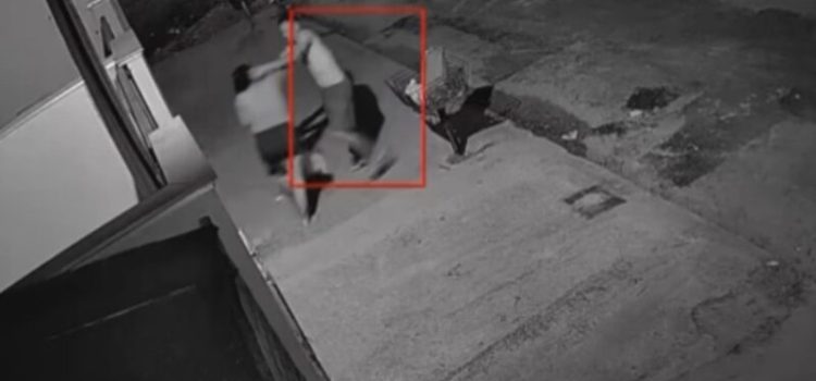 Homem espanca esposa com bebê no colo e se mata após ser flagrado em MT; assista