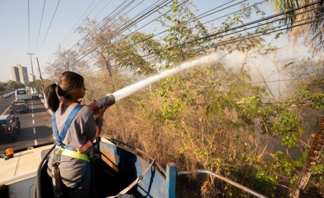 Prefeitura age rápido e evita que incêndio se alastre na região da ponte da Marechal Rondon; fotos