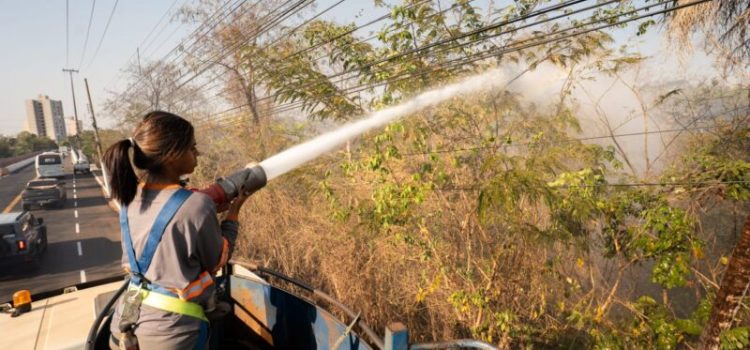 Prefeitura age rápido e evita que incêndio se alastre na região da ponte da Marechal Rondon; fotos