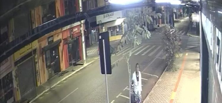Prefeitura registra BO e polícia está na cola de vândala que destruiu árvores em Rondonópolis; assista