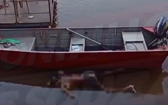 Vídeo mostra corpo em decomposição encontrado no Rio Vermelho em Rondonópolis