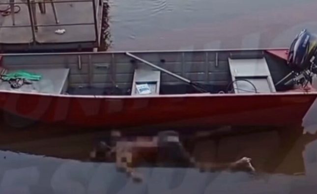 Vídeo mostra corpo em decomposição encontrado no Rio Vermelho em Rondonópolis
