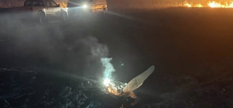 Avião cai e duas pessoas morrem às margens da MT-130; vídeo mostra cenário de destruição