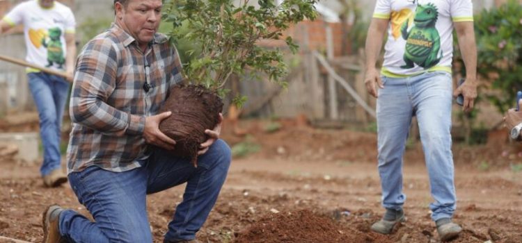 Em título inédito, Cláudio Ferreira conquista o selo de “Cidade Amiga das Árvores” para Rondonópolis