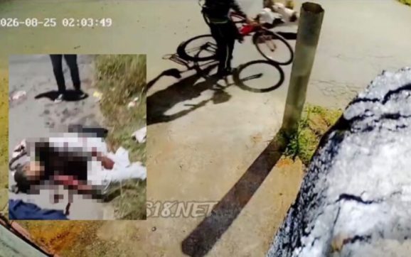Homem perde os movimentos do braço após ser atacado por dois pitbulls; vídeo mostra ataque